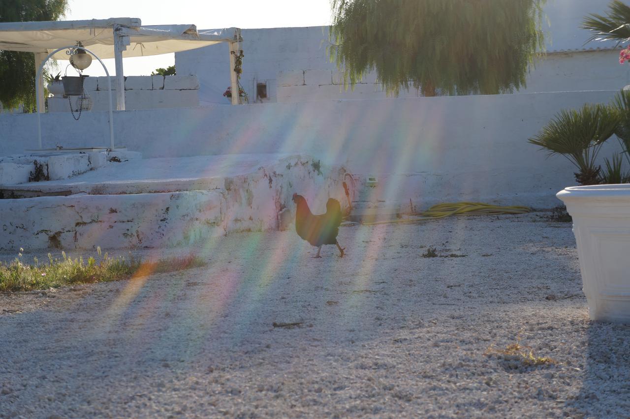 Masseria Di Benedetto Apartman Ostuni Kültér fotó